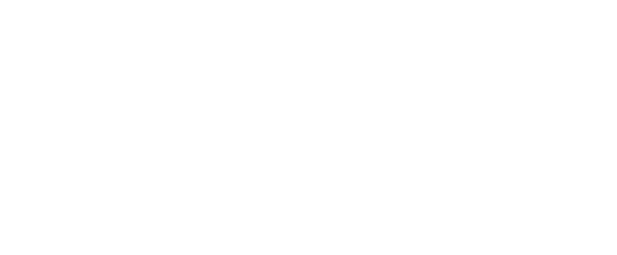 National Settlement Services